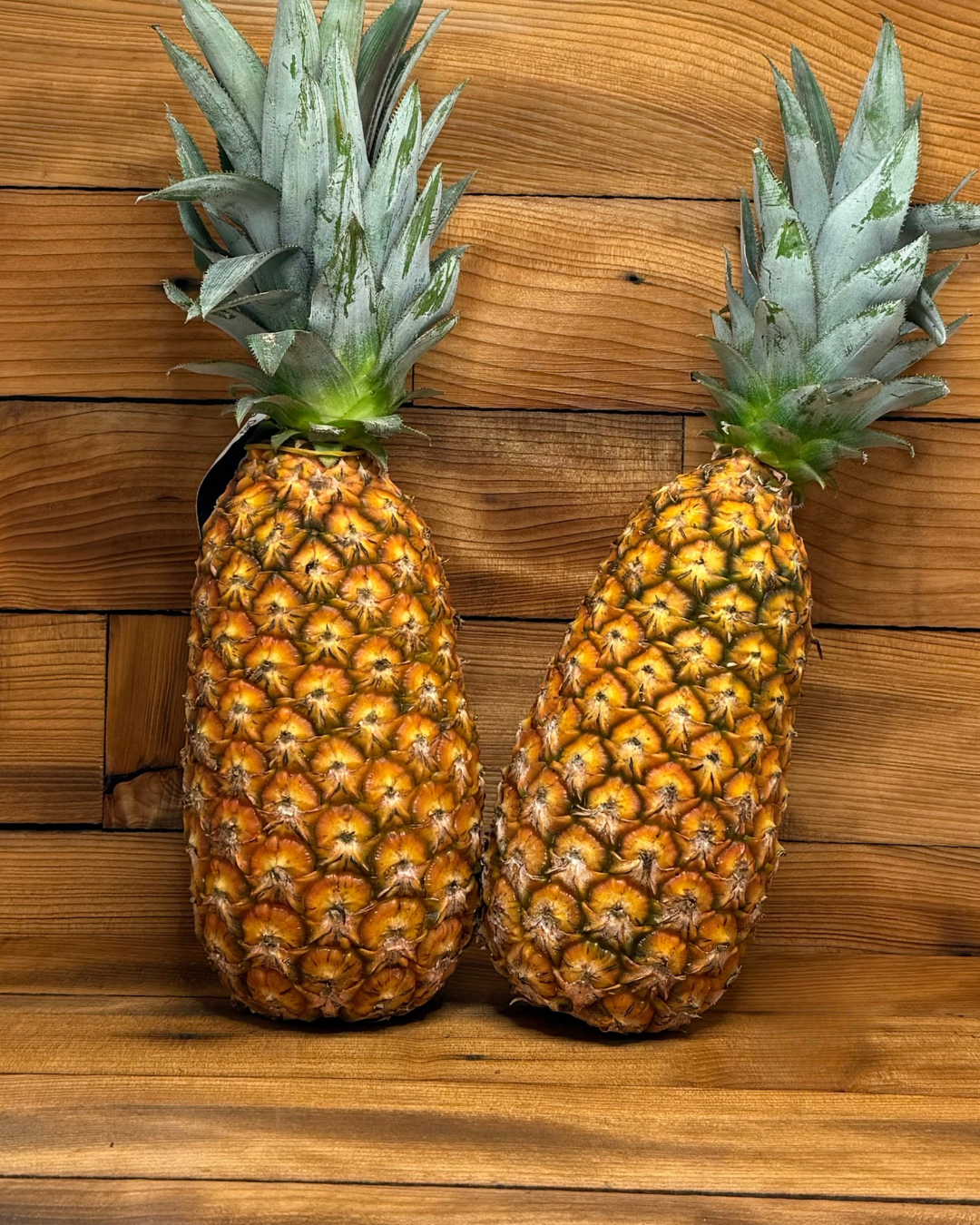 Ananas Pain de Sucre