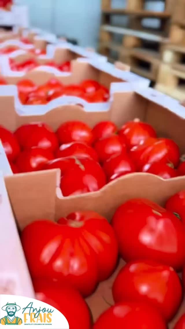 Anjou Frais